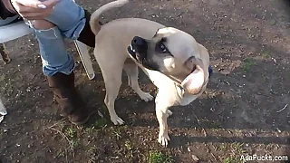 2185 pornstar porn videos