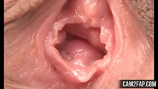 Pussy Free Asian Pussy Licking Porn Video