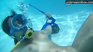 Candy being domesticated underwater